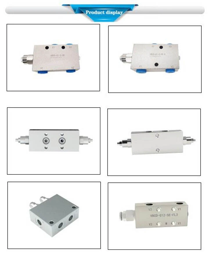 Overcenter Valve VBCD-G12-DE